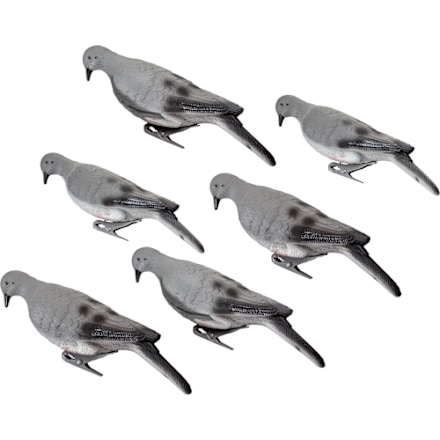 Cabela's Tauben-Lockvogel, 6er-Pack