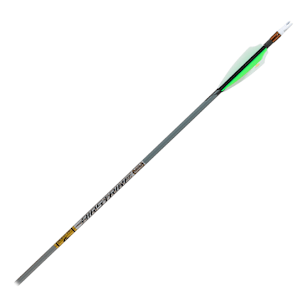 Gold Tip Airstrike Carbonpfeile mit Mikrodurchmesser und 4 Fletch Vanes