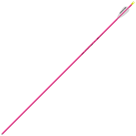 Easton XX75 Genesis NASP-Pfeile