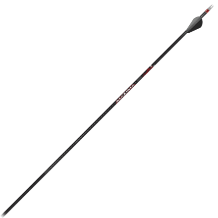 Carbon Express Maxima Sable RZ Pfeile