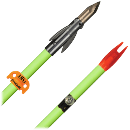 AMS Bowfishing AnKor FX Pfeil