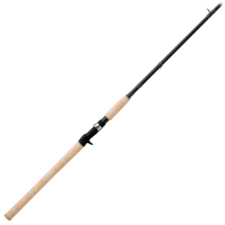 Daiwa DX Swimbait Castingrute