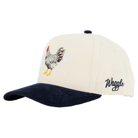 Waggle Roost Snapback-Kappe aus Cord mit Krempe
