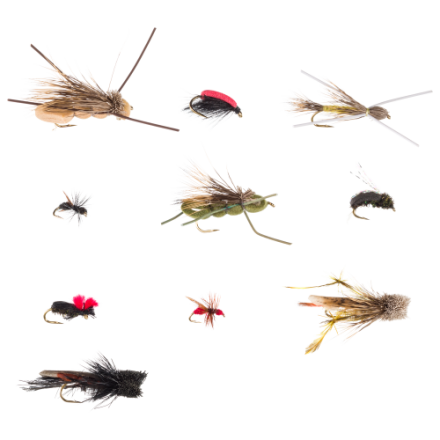 White River Fly Shop 10-teiliges Classic Terrestrials Fly Sortiment