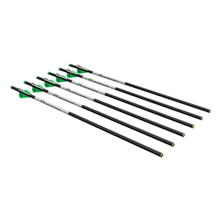 CenterPoint 20'' Armbrustbolzen