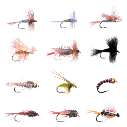 White River Fly Shop 12-teiliges klassisches Forellenfliegen-Sortiment