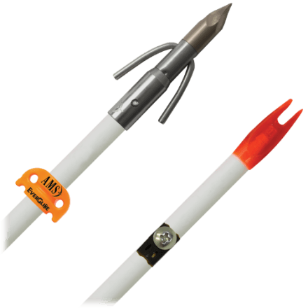 AMS Bowfishing Chaos Point mit komplettem Pfeilset