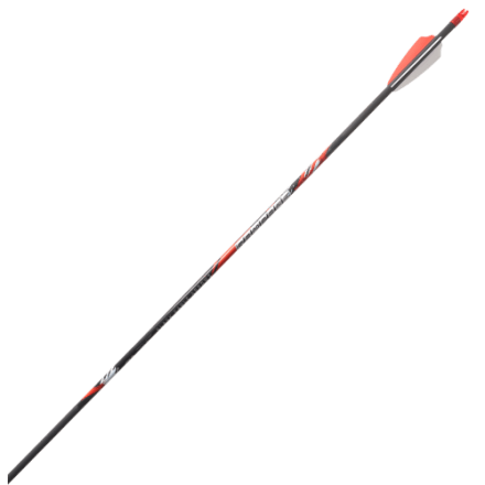 Black Eagle Rampage Carbonpfeile