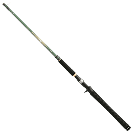 Daiwa TD Eye Casting Schlepprute