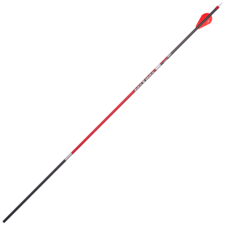 Carbon Express Maxima Red SD Pfeile